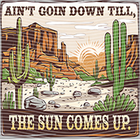 Country music-CU 313